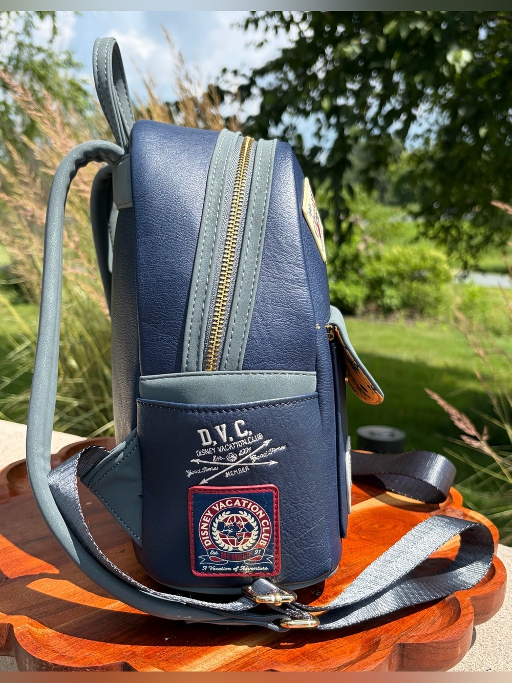 Loungefly Disney Vacation Club DVC 30th Anniversary Backpack EUC - Picture 10 of 16